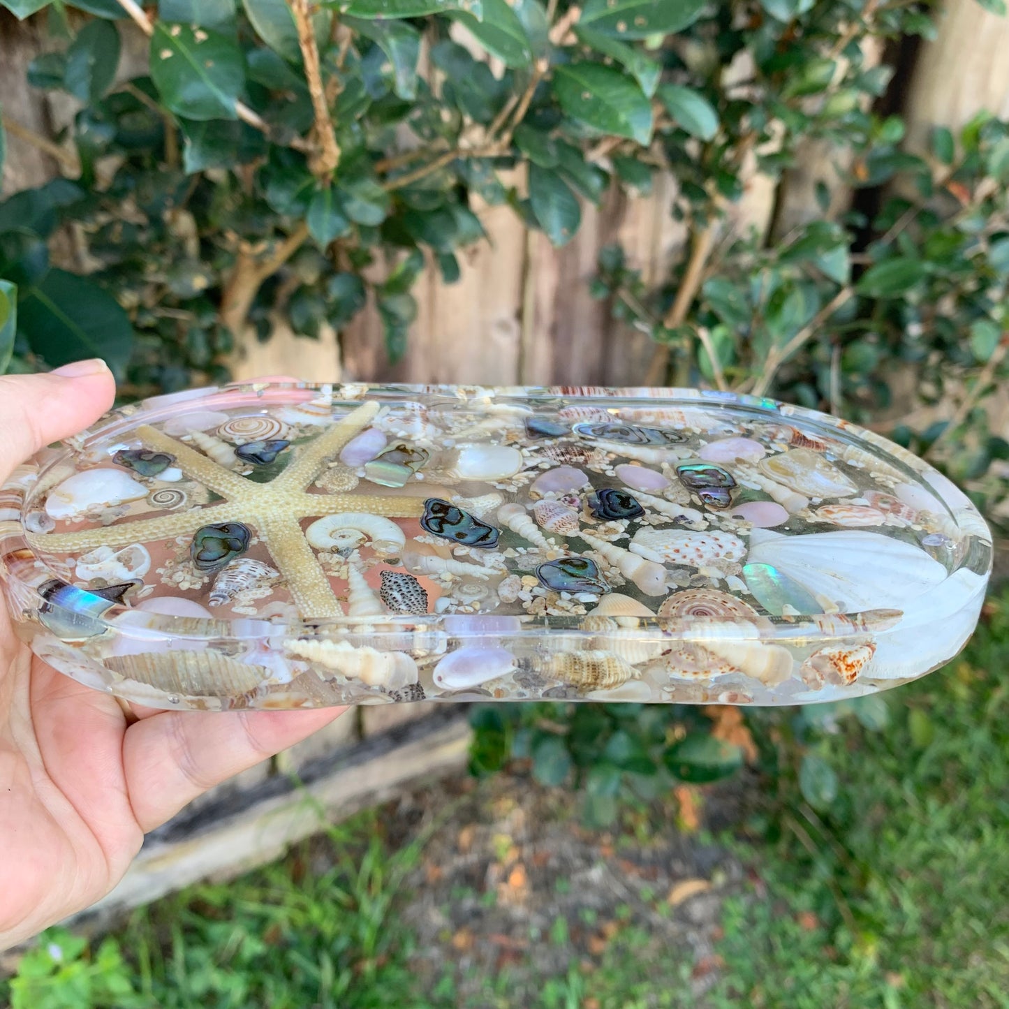 Starfish and Seashells Trinket Dish