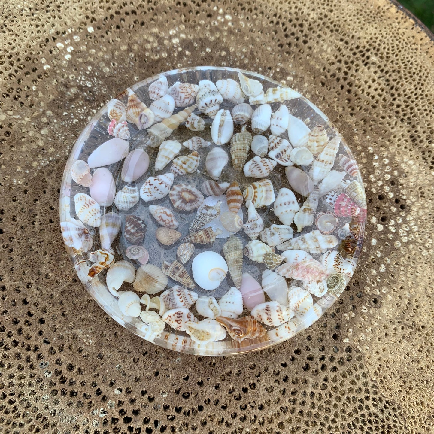 Seashell Trinket Dish