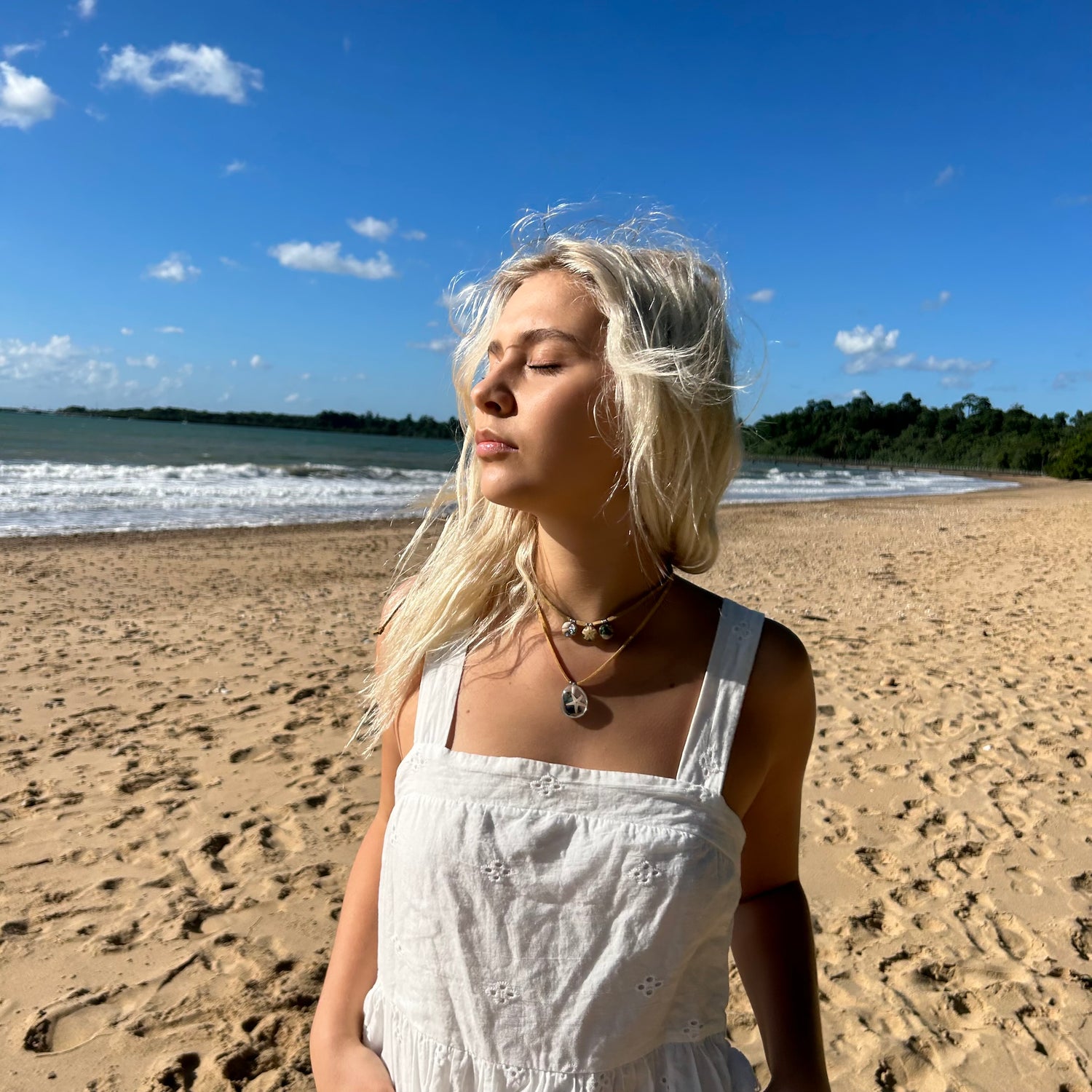 Mermaid & Seashell Collection