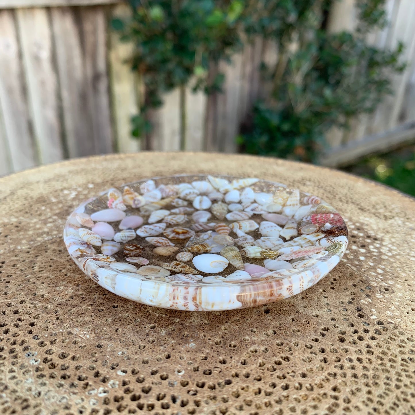 Seashell Trinket Dish