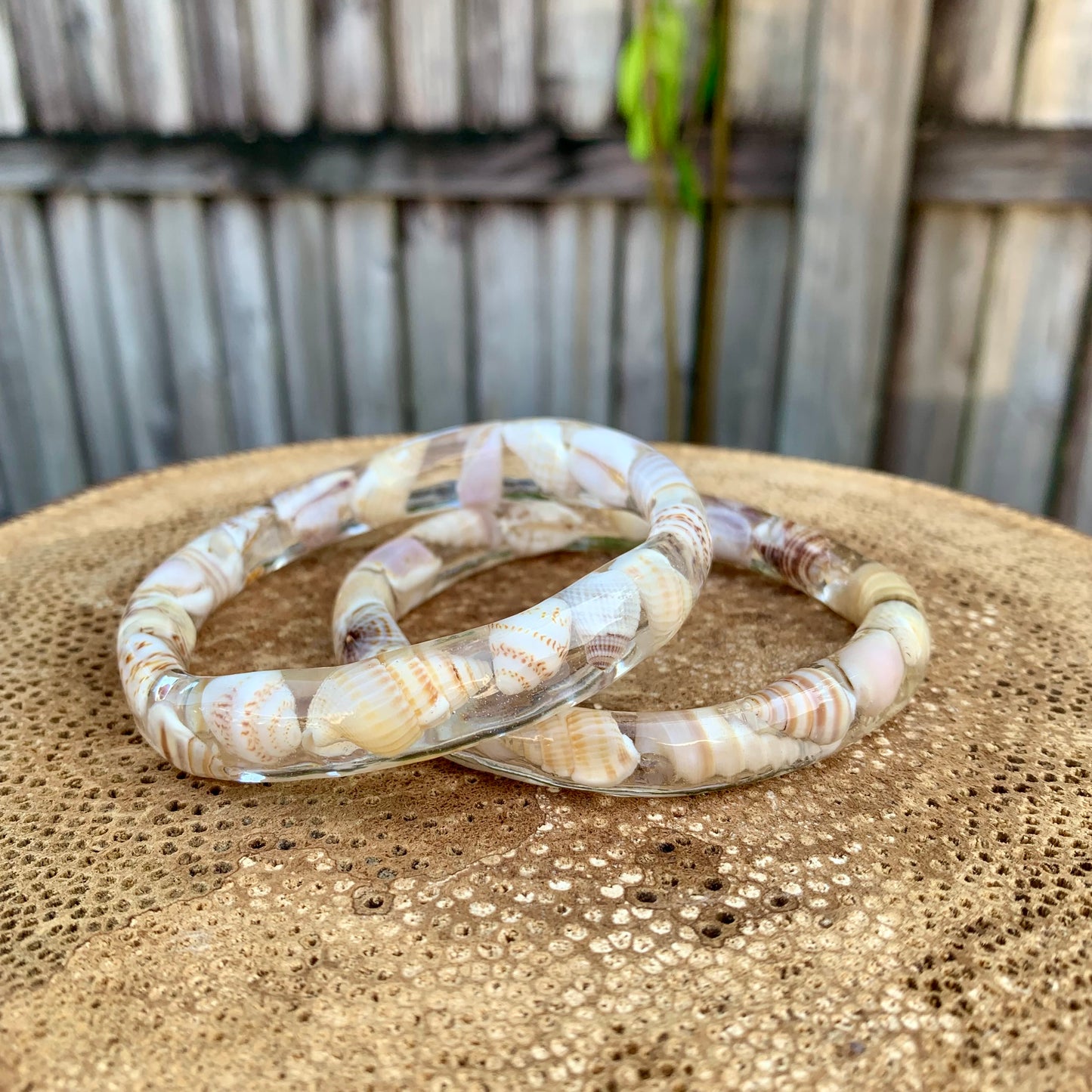 Skinny Seashell Bangle Medium