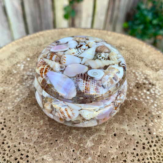 Seashell Jewellery Pot