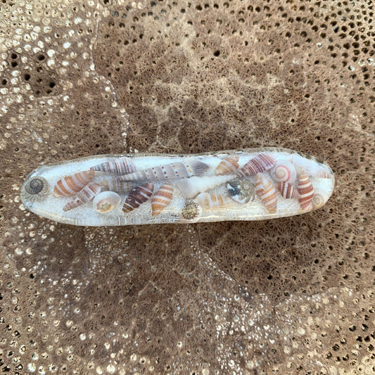 Shell hair clip with beach sand.