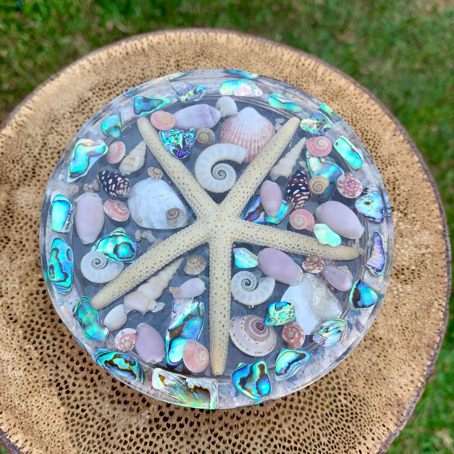 Mermaid Starfish Jewellery Box