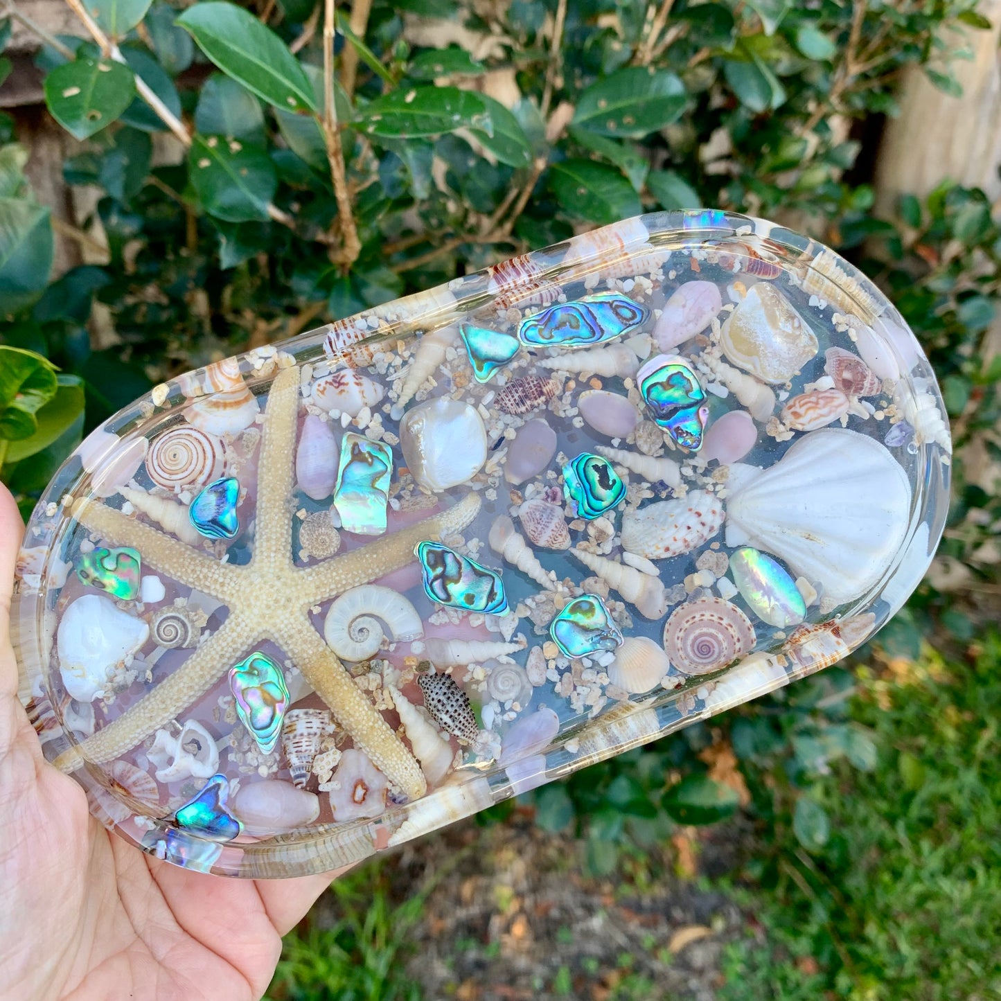 Starfish and Seashells Trinket Dish