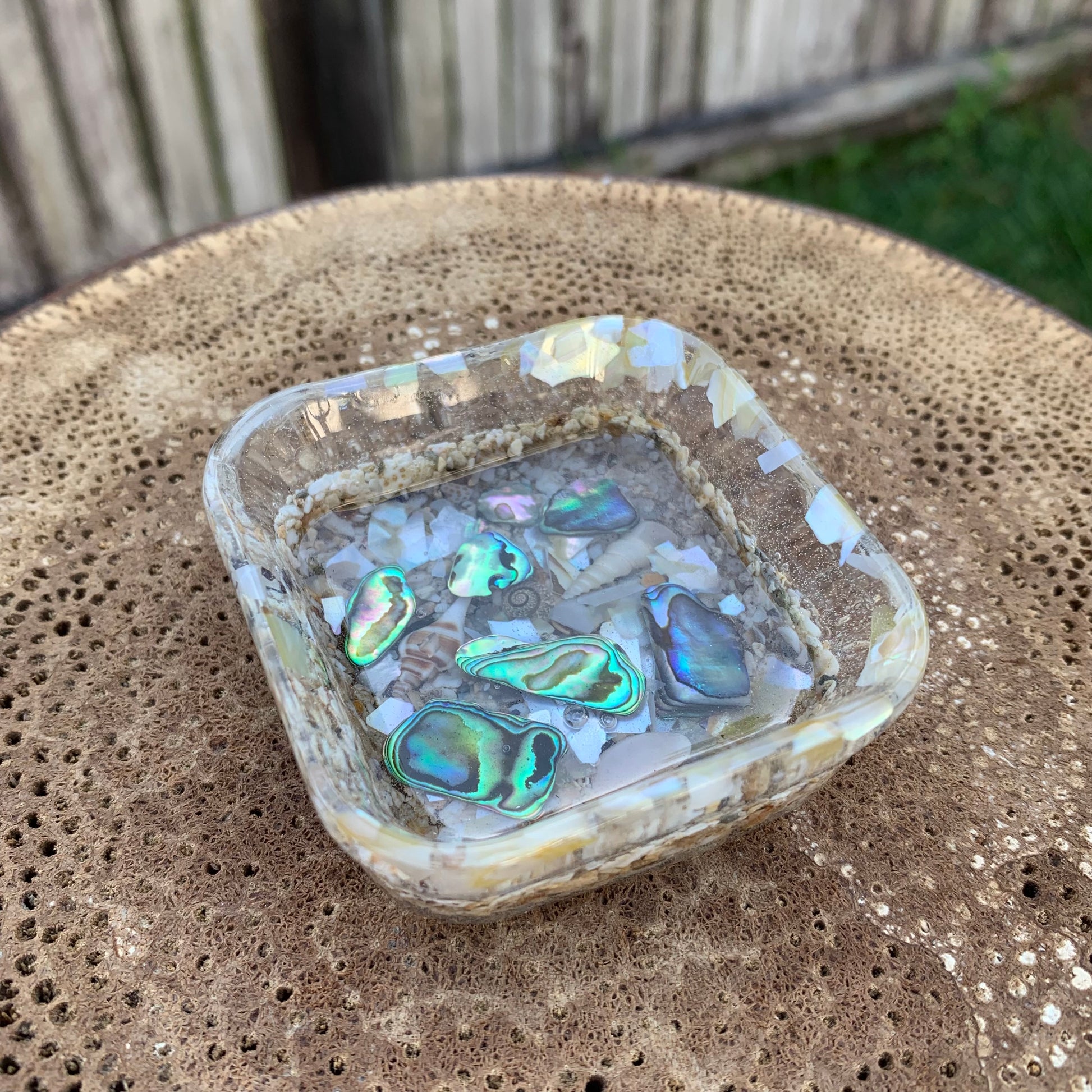 Shell resin dish with abalone shells.